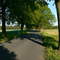 Allee bei Lärz (Müritz), 05.05.2008