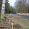 Wald bei Klosterdorf, in der Nähe von Strausberg