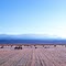 WEST TEXAS WINTER, 1976