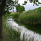 Balmorhea Springs