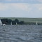 Segelregatta auf dem Unteruckersee