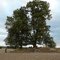 Germany_Brandenburg Country_Uckermark_Steinfurth_megalithic tomb with 2 oak trees_P1090712.JPG
