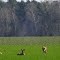 Auch die Tiere des Waldes genießen die ersten wärmenden Sonnenstrahlen