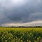 Flugwetter