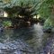 Kleiner Nebenfluss der Dosse (Schwänze)