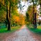 Herbstlandschaft am Neustädter Gestüt