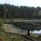 unheimlicher See