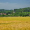 Roßbach bij Naumburg.