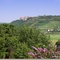 Blick zur Neuenburg / Freyburg