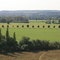 Blick vom Max-Klinger-Weinberg Kleinjena 2008