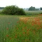 Landschaft bei Crivitz