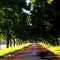 Take a walk on the bright side :)