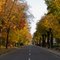 Allee