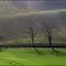 Landschaft an der "Hohen Schrecke"