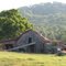 Howell, Tn old barn
