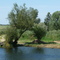 Flusslandschaft