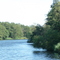 Uferwald