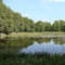 Teich im Wald bei Guteborn - Panorama