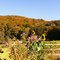 Vom Hammer IV Den Herbst genießen