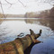Germany_Brandenburg_Märkische Schweiz_Big Tornow Lake