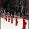 The Red Guard