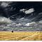 Sommer ade´