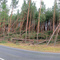 Windschäden - Panorama - 17.11.2002
