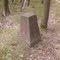 Grenzstein 94