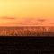 Sonnenaufgang - Nahe Bothenheilingen