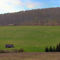 Thüringen pur