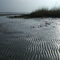 "Wattenmeer" (2)