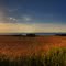 "endless summer" Salzhaff, Mecklenburg-Vorpommern