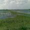 Land unter