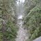 Finney Creek, WA