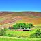 Farm house by US Route 12 at Jct to WA-261