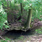 Am Bach