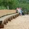 Die lange Bank - The long bench
