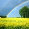 Rainbow 1