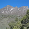 Eastern approach to King Lear Peak, west view toward summit