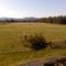 Knapweed Ranch