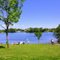 Ferienwohnpark Silbersee
