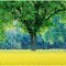 Rapeseed and tree