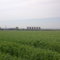 Seebach  Milchviehanlage