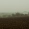 Nebel