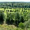 Panorama über den Golfplatz Walldürn