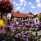 Blumenschmuck am Marktplatz in Oberursel