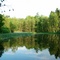 -Bisses- Waldsee