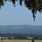 Blick in den Vogelsberg