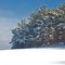 Aschaffenburg - Sternberg im Winter