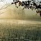 Ein Wintertag am Weiher